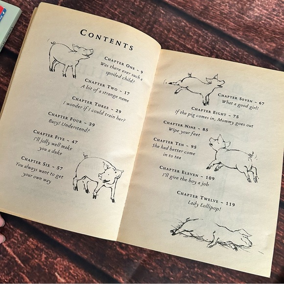 📚 Short Chapter Book Bundle (4) - Picture 8 of 13